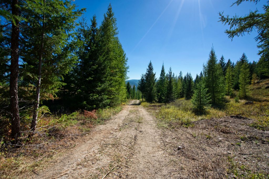 232 Wild Bill Trail, Kila, MT 59920 photo 8