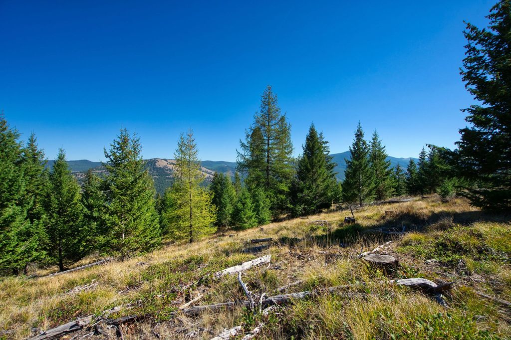 232 Wild Bill Trail, Kila, MT 59920 photo 9