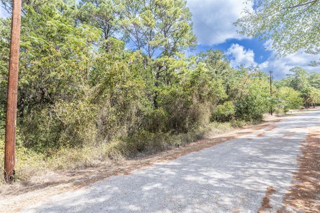 LOT 1264 W Kamoi Ct CT, Bastrop, TX 78602