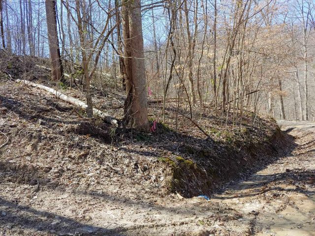 0 Birch Hollow Road #9 Phase 2, Stanton, KY 40380