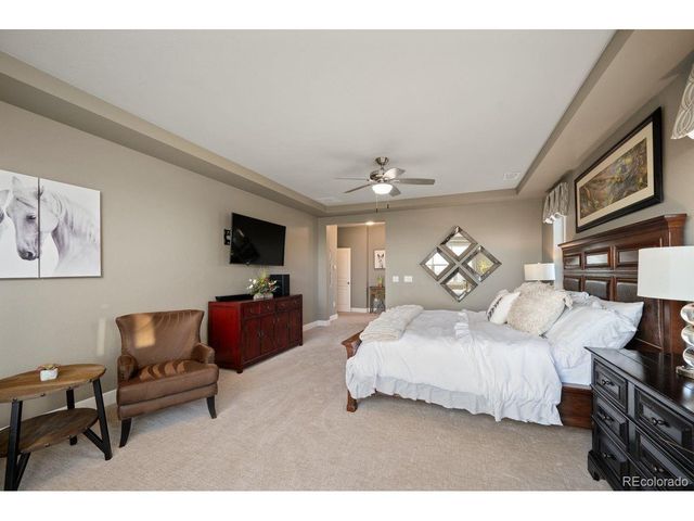 442 Galaxy Dr, Castle Rock, CO 80108