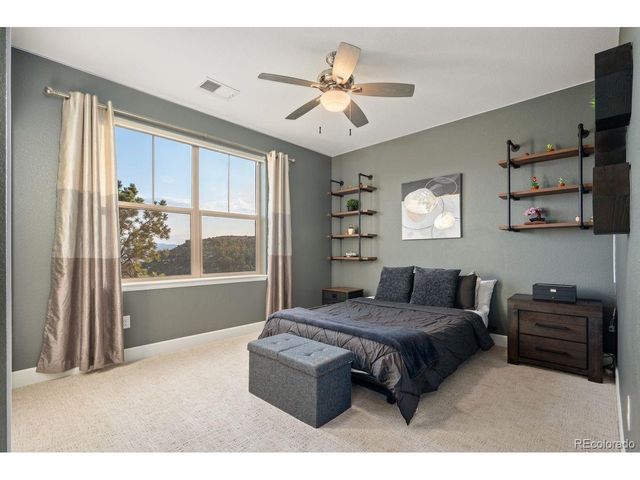 442 Galaxy Dr, Castle Rock, CO 80108