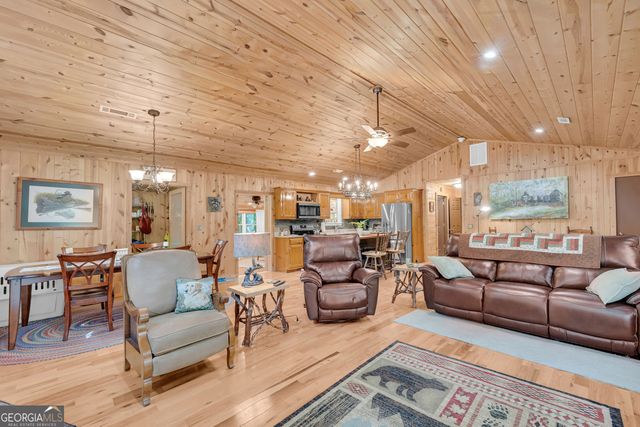 113 Biddy Mtn Lane, Tiger, GA 30576