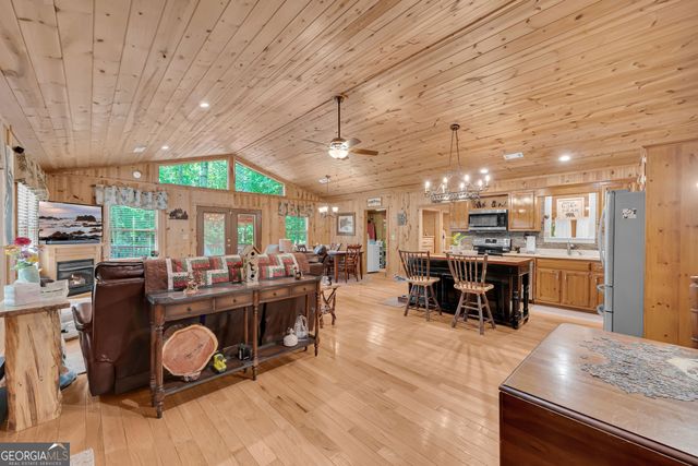 113 Biddy Mtn Lane, Tiger, GA 30576