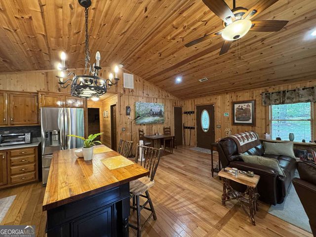 113 Biddy Mtn Lane, Tiger, GA 30576