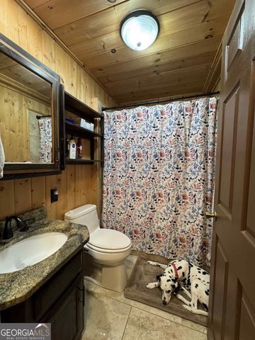 113 Biddy Mtn Lane, Tiger, GA 30576