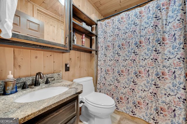 113 Biddy Mtn Lane, Tiger, GA 30576