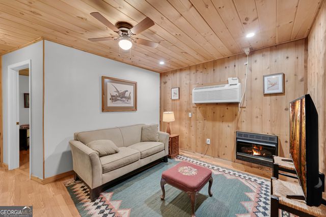 113 Biddy Mtn Lane, Tiger, GA 30576