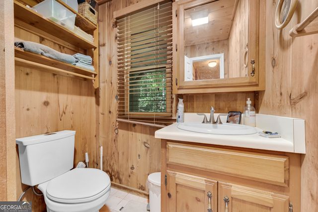 113 Biddy Mtn Lane, Tiger, GA 30576