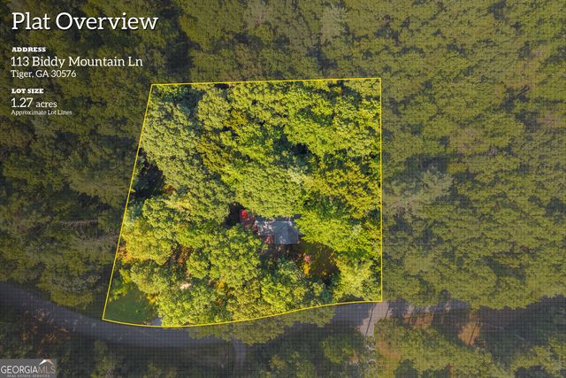113 Biddy Mtn Lane, Tiger, GA 30576