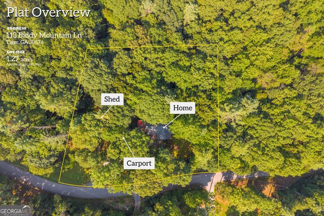 113 Biddy Mtn Lane, Tiger, GA 30576