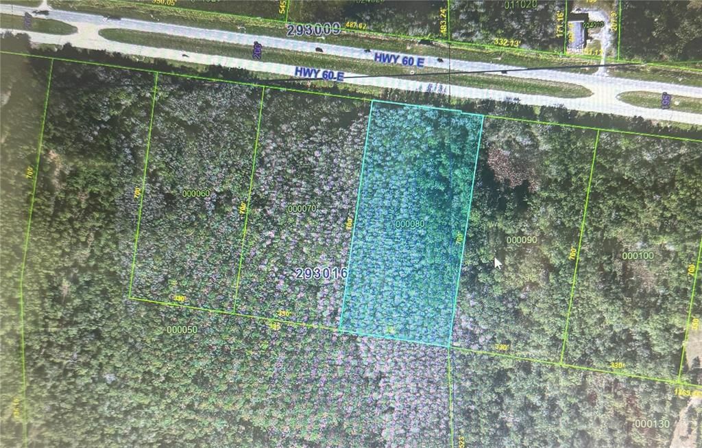 0 STATE ROAD 60 E LOT 8, Lake Wales, FL 33898