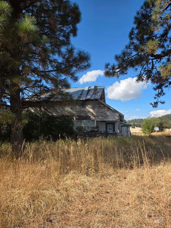 49 Freeman Creek Road, Kendrick, ID 83537 photo 5