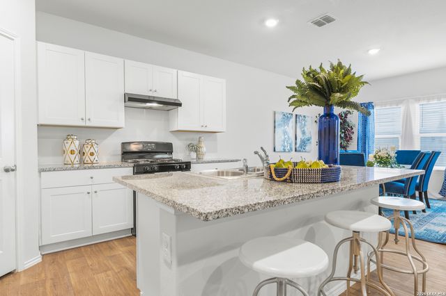 4111 FORT PALMER BLVD, St Hedwig, TX 78152