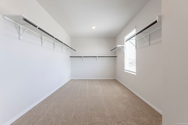 4111 FORT PALMER BLVD, St Hedwig, TX 78152