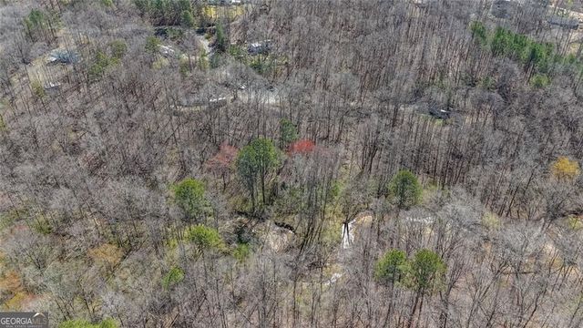 LOT 62 Cherokee Wood Hollow Drive, Ball Ground, GA 30107