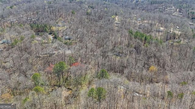 LOT 62 Cherokee Wood Hollow Drive, Ball Ground, GA 30107