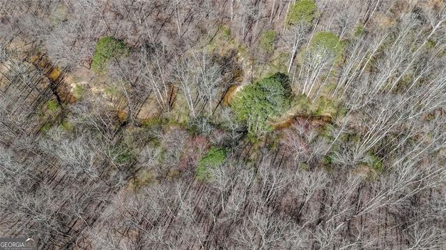 LOT 62 Cherokee Wood Hollow Drive, Ball Ground, GA 30107