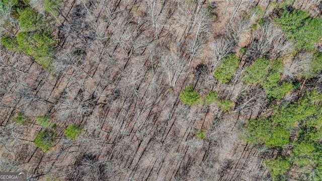 LOT 62 Cherokee Wood Hollow Drive, Ball Ground, GA 30107