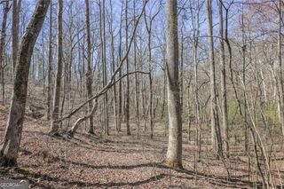 LOT 62 Cherokee Wood Hollow Drive, Ball Ground, GA 30107
