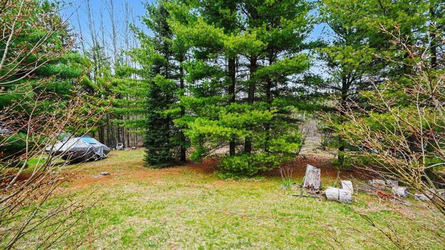1553 Mills Road, Mills Twp, MI 48756