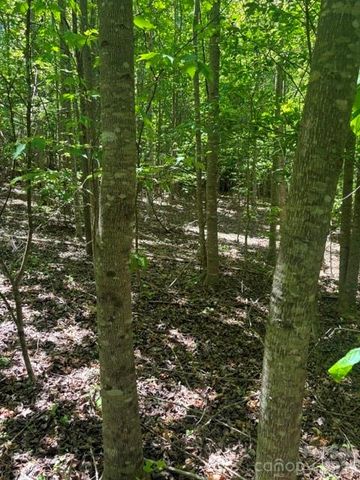 0 E Pine Hill Avenue, Morganton, NC 28655