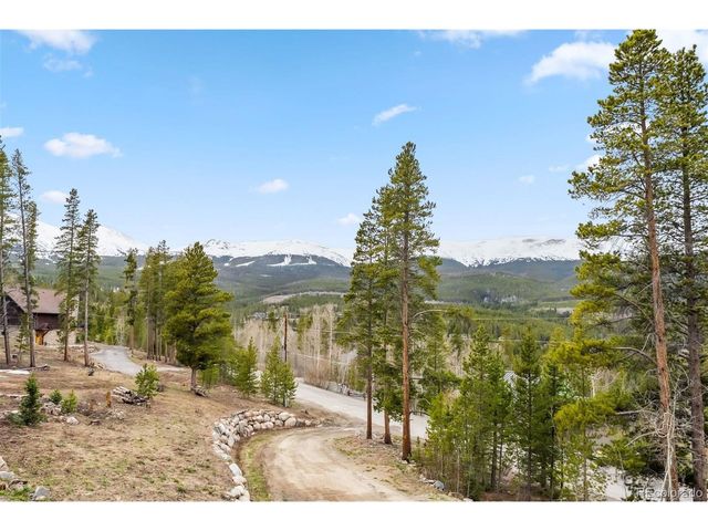 1009 American Way, Breckenridge, CO 80424
