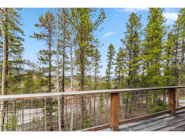 1009 American Way, Breckenridge, CO 80424