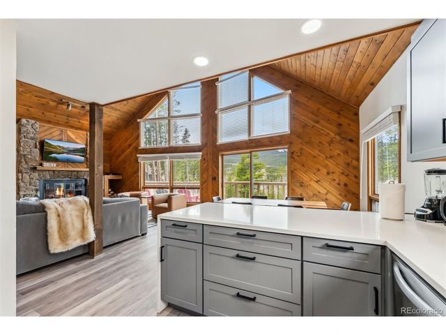 1009 American Way, Breckenridge, CO 80424