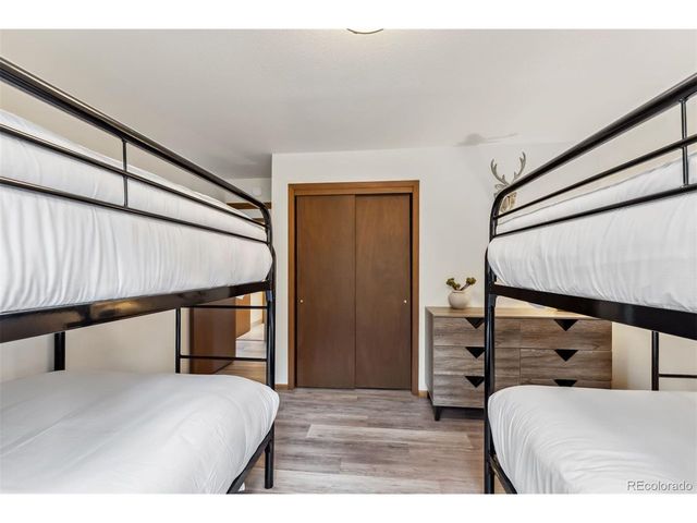 1009 American Way, Breckenridge, CO 80424