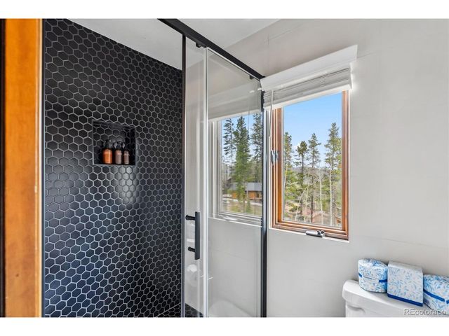 1009 American Way, Breckenridge, CO 80424