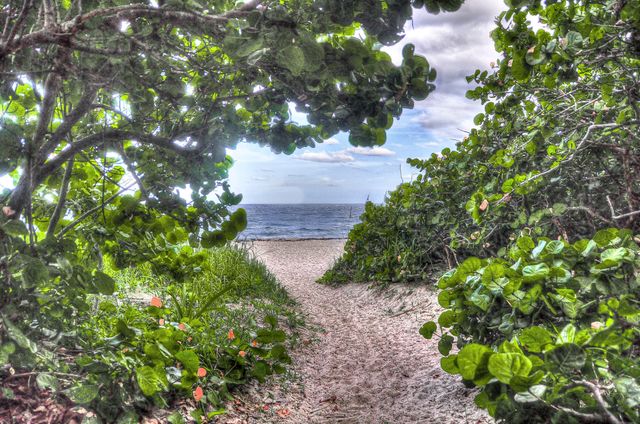 2860 S Ocean Boulevard 301, Palm Beach, FL 33480
