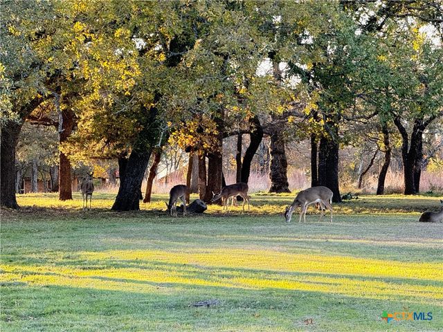 3223 K Starr Drive, Copperas Cove, TX 76522