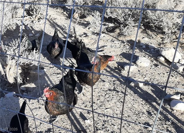 1062 West 328th North Street, Ely, NV 89301