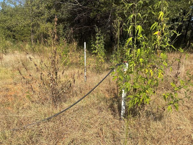 379 & 401 CR 167, Whitesboro, TX 76273