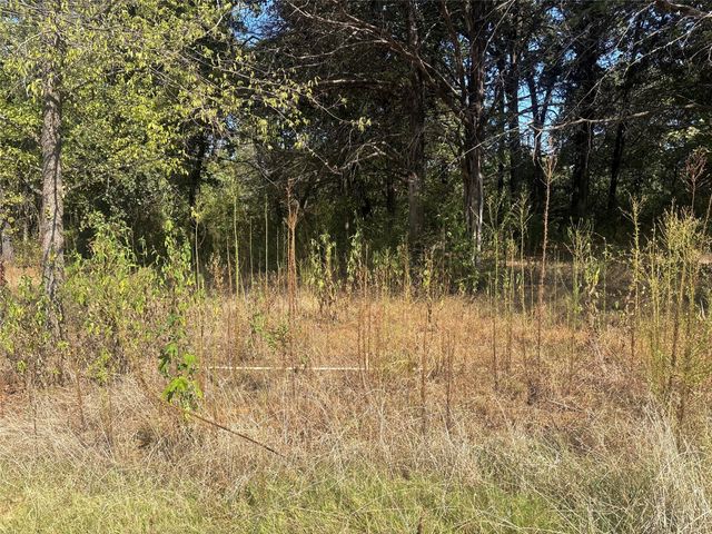 379 & 401 CR 167, Whitesboro, TX 76273