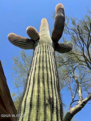 2652 S Falcon View Drive, Tucson, AZ 85713