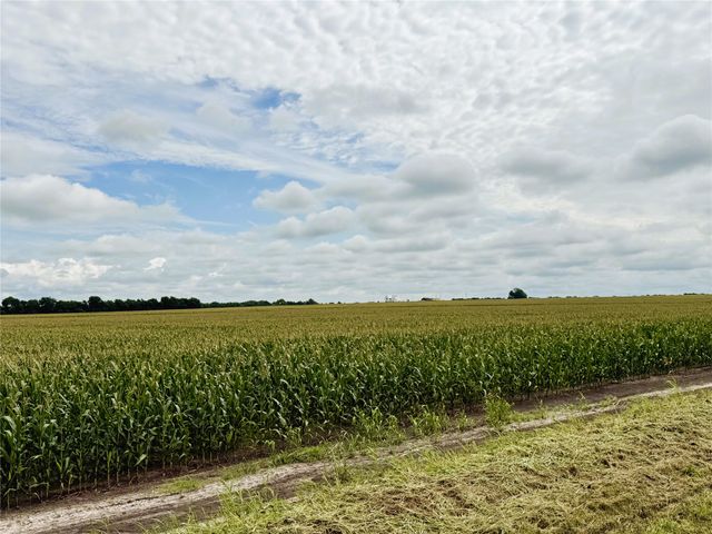 TBD FM HWY 272, Leonard, TX 75452