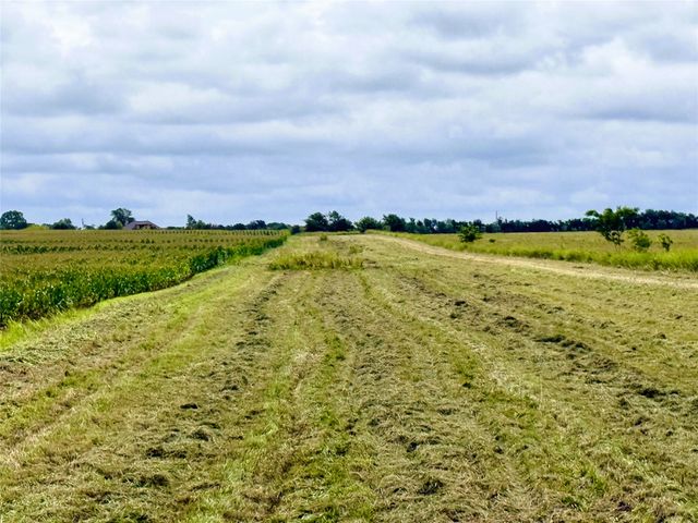 TBD FM HWY 272, Leonard, TX 75452