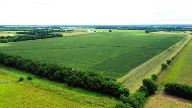 TBD FM HWY 272, Leonard, TX 75452