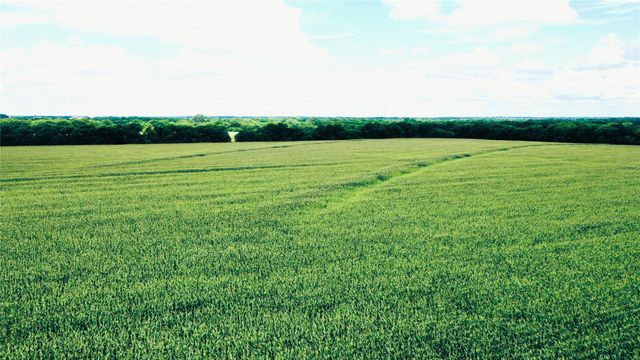 TBD FM HWY 272, Leonard, TX 75452
