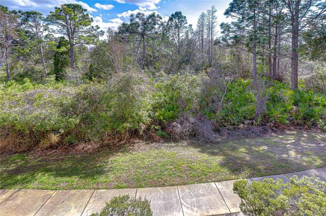 10409 VILLA VIEW CIRCLE 10409, Tampa, FL 33647