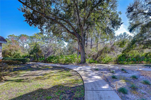 10409 VILLA VIEW CIRCLE 10409, Tampa, FL 33647