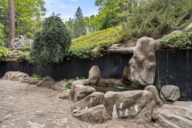 339 Alpine Dr, Colfax, CA 95713