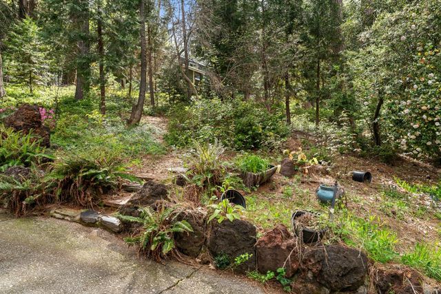 339 Alpine Dr, Colfax, CA 95713