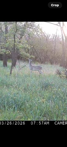 TBD CR 386, Marquez, TX 77865