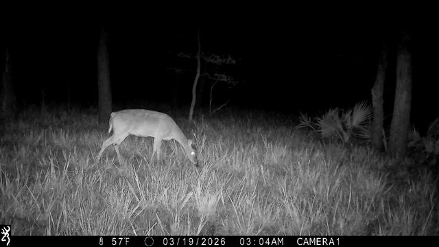 TBD CR 386, Marquez, TX 77865