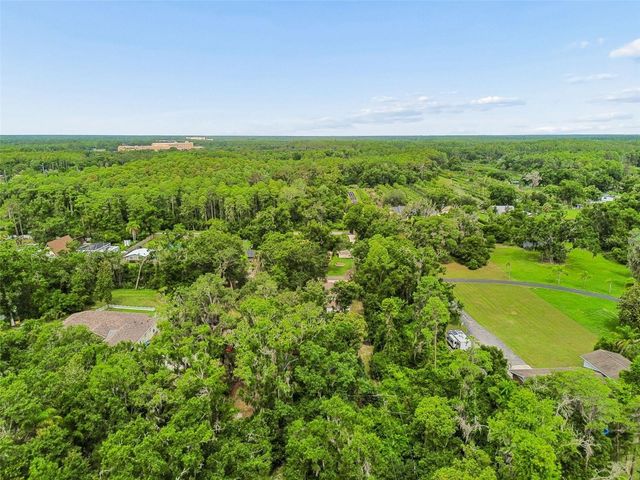 CRESCENT LANE, Lutz, FL 33548
