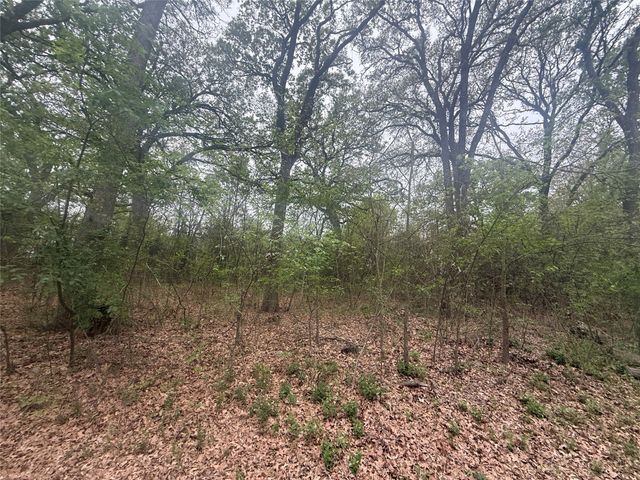 000 County Road 4205, Bonham, TX 75418