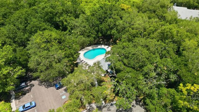 11844 SKYLAKE PLACE, Tampa, FL 33617